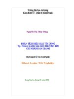 Phân tích hiệu quả tín dụng tại ngân hàng sài gòn thương tín chi nhánh An Giang