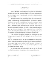Giải pháp phát triển cảng biển quốc gia đáp ứng quá trình hội nhập kinh tế quốc tế Việt Nam