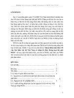 Quan điểm toàn diện với việc tìm hiểu vấn đề Việt Nam ra nhập tổ chức thương mại thế giới WTO