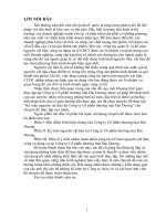 Kế toán nguyên vật liệu tại Công ty Cổ phần thương mại Đại Dương