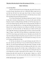 Pháp luật chống bán phá giá và thực hiện áp dụng tại Việt Nam