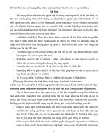 Phân tích đối tượng điều chỉnh của Luật hành chính và cho ví dụ minh họa.