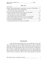 251 Báo cáo tổng hợp về tình hình kinh doanh & hoạt động marketing của Công ty cổ phần hoà bình