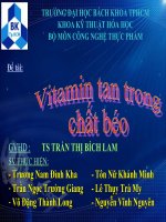 VITAMIN TAN TRONG CHẤT BÉO