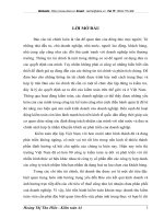 “ Hoàn thiện kiểm toán khoản mục doanh thu trong kiểm toán Báo cáo tài chính do Công ty Kiểm toán và Định giá Việt Nam thực hiện