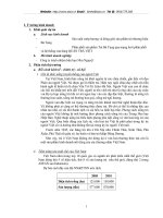 Dự án phân phối sản phẩm trà bà Tụng