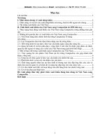 Giải pháp nhằm thúc đẩy phát triển xuất khẩu hàng tiêu dùng của Việt Nam sang Campuchia