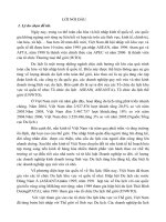 Vấn đề  chiến lược kinh doanh của Công ty lữ hành Toàn cầu (Open World) sau khi Việt Nam gia nhập WTO