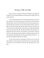 Đầu tư trực tiếp nước ngoài FDI