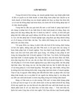 vấn đề lý luận về doanh nghiệp