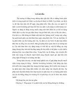 Giải pháp chuyển mạch mềm trong mạng di động thế hệ thứ 3 WCDMA