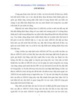 Một số quy định pháp luật về đầu tư trực tiếp nước ngoài tại CHDCND Lào