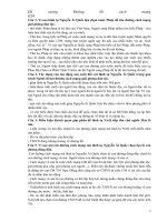 Vì sao lãnh tụ Nguyễn Ái Quốc lựa chọn nước Pháp để tìm đường cách mạng giải phóng dân tộc