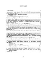 Công tác kế toán tại công ty cổ phần Traphaco