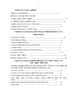 trách nhiệm hình sự của pháp nhân