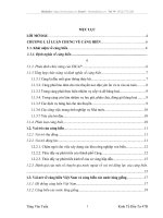 Thực trạng và giải pháp nâng cao hiệu quả của hoạt động đầu tư phát triển vào cảng biển của Tổng công ty Hàng hải Việt Nam