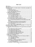 464 Thương mại điện tử & sự phát triển của nó ở Việt Nam