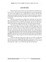 Quan điểm toàn diện của việc Việt Nam gia nhập tổ chức thương mại thế giới WTO