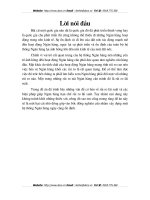 Những vấn đề  cơ bản về rủi ro lãi suất