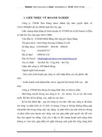 Tổng quan về công ty TNHH Hòa Hưng