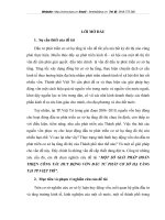 MỘT SỐ GIẢI PHÁP HOÀN THIỆN CÔNG TÁC HUY ĐỘNG VỐN ĐẦU TƯ PHÁT CƠ SỞ HẠ TẦNG TẠI TP.VIỆT TRÌ