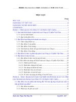 Kế toán tập hợp chi phí sản xuất và tính giá thành sản phẩm tại Công ty Cổ phần Việt Chào