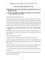 Nghiên cứu tình hình hoạt động của Viện Khoa học Lao động và Xã hội