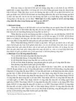 Bình luận về cơ chế, ý nghĩa và vai trò của hoạt động công nhận lẫn nhau trong thương mại dịch vụ của ASEAN