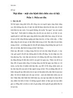 Mại dâm – một căn bệnh khó chữa của xã hội