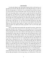 513 Chiến lược Marketing mix cho cạnh tranh nhãn hiệu của Công ty bia Hà Nội