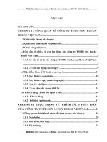 Hoàn thiện kênh phân phối của công ty sơn Lucky House Việt Nam