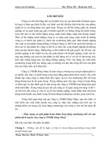 176 Thực trạng và giải pháp hoàn thiện hoạt động marketing đối với sản phẩm dịch truyền của Công ty TNHH Sông Nhuệ