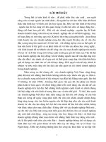 Thực trạng & các các giải pháp khai thác và tạo lập vốn cho hoạt động sản xuất kinh doanh ở Công ty xây dựng Hồng Hà