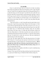 222 Giải pháp hoàn thiện chiến lược Marketing trong kinh doanh bảo hiểm xe cơ giới tại Chi nhánh Công ty cổ phần Bảo Hiểm Petrolimex Hưng Yên