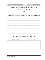 HOẠT ĐỘNG MARKETING TẠI CÔNG TY TNHH TM & DV CN AN THÀNH BẢO