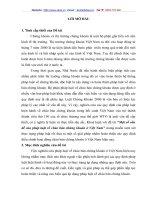 Một số vấn đề của pháp luật về chào bán chứng khoán ở Việt Nam