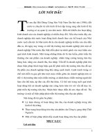 Thực trạng hoạt động tiêu thụ sản phẩm của công ty gang thép Thái Nguyên