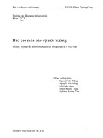 những vấn đề môi trường cần ưu tiên giải quyết ở Việt Nam