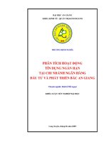 Phân tích hoạt động tín dụng ngắn hạn tại chi nhánh ngân hàng đầu tư bvaf phát triển bắc An Giang