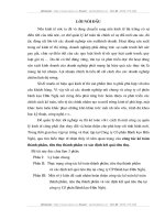 Hoàn thiện công tác kế toán thành phẩm, tiêu thụ thành phẩm và xác định kết quả tiêu thụ tại Công ty Cổ phần bánh kẹo Hữu Nghị