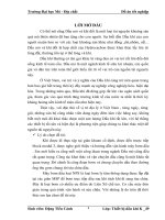 Máy bơm dầu loại NPS