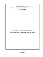 Ô NHIỄM MÔI TRƯỜNG ĐÔ THỊ Ở VIỆT NAM