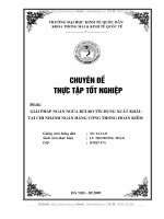 Giải pháp ngăn ngừa rủi ro tín dụng xuất khẩu tại chi nhánh ngân hàng công thương Hoàn Kiếm