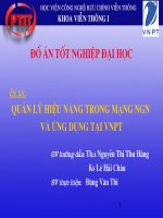 Quản lý hiệu năng trong mạng NGN và ứng dụng tại VNPT