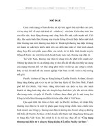 Ứng dụng thương mại điện tử ở công ty Hàng không Cổ phần Pacific Airlines