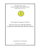 khảo sát năng suất thỏ thịt khi dùng cùi bắp thay thế trong khẩu phần rau muống