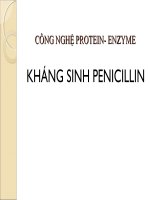KHÁNG SINH PENICILLIN