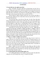 thực thi cam kết của Việt Nam với WTO về thương mại dịch vụ