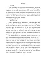 vai trò thực tế của các quy định pháp luật về bảo vệ môi trường