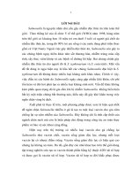 Phân lập và biểu hiện gen fljB mã hoá kháng nguyên roi H: 1,2 của Salmonella typhimurium trong Escherichia coli BL21